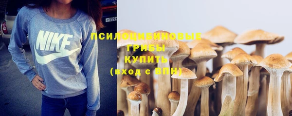 соль курить ск Армянск